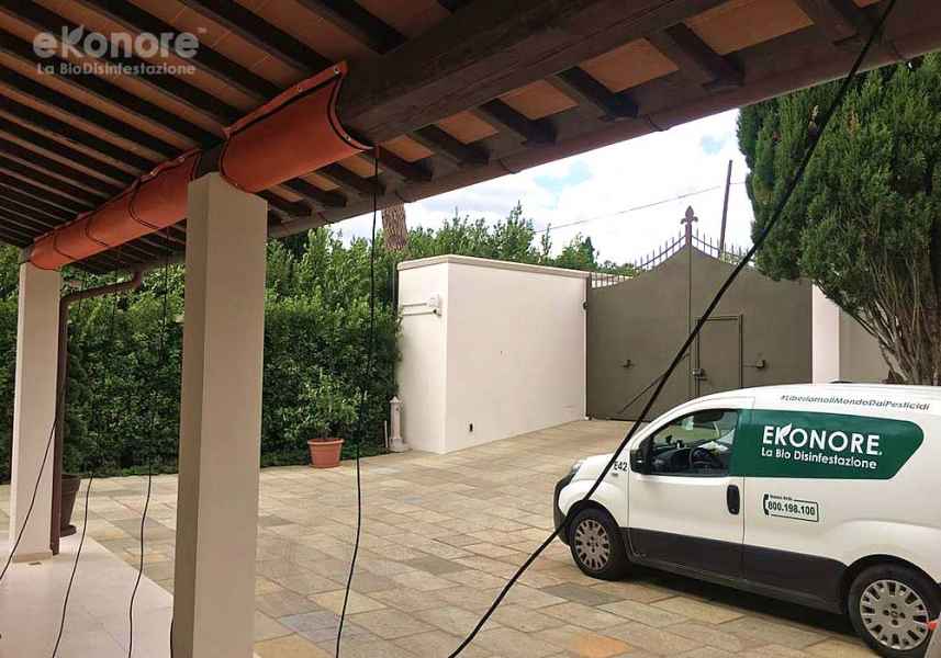 Termodisinfestazione travi in legno tarlate ad infrarossi