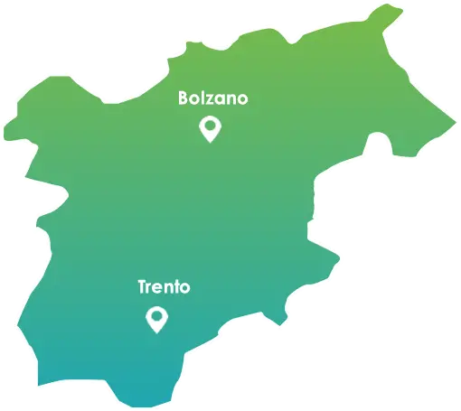 Disinfestazioni Tarli e antitarlo in Trentino